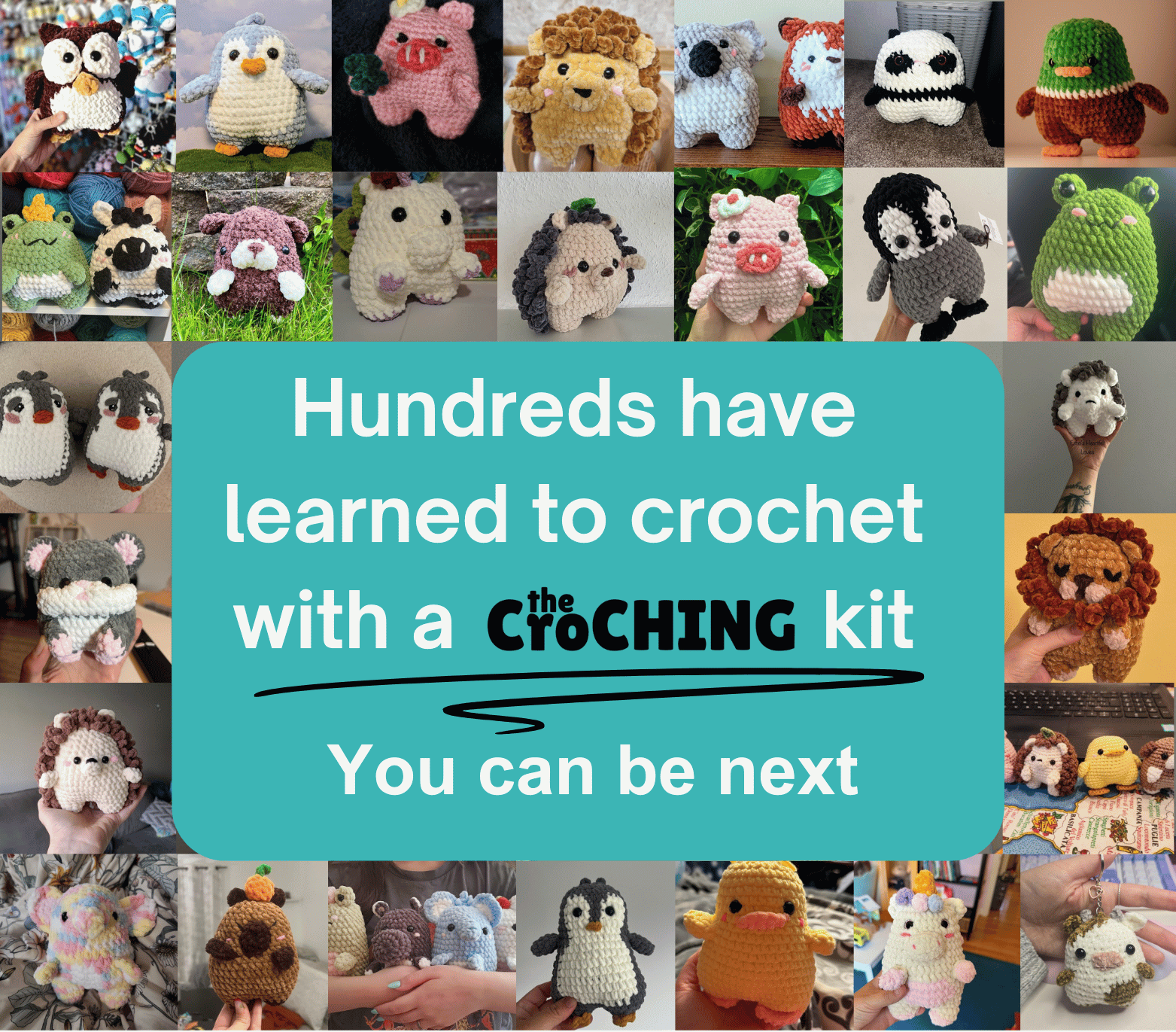 The Koala Crochet Pattern